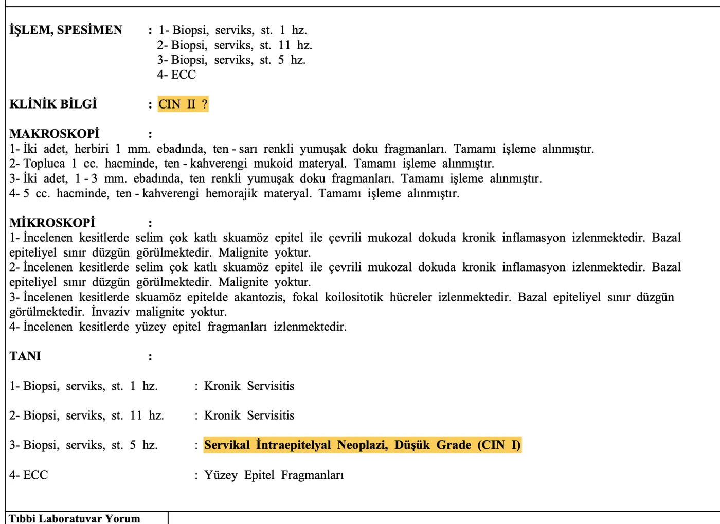 Anonim CIN 1 patoloji raporu örneği